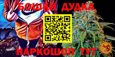 крисы Рузаевка