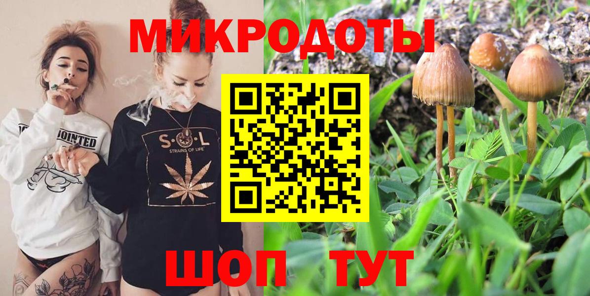 Сосновый Бор  Галлюциногенные грибы Psilocybe  Вход с VPN 